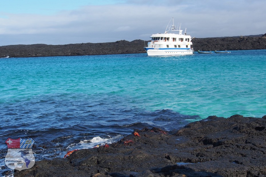 Galapagos - 9-imp